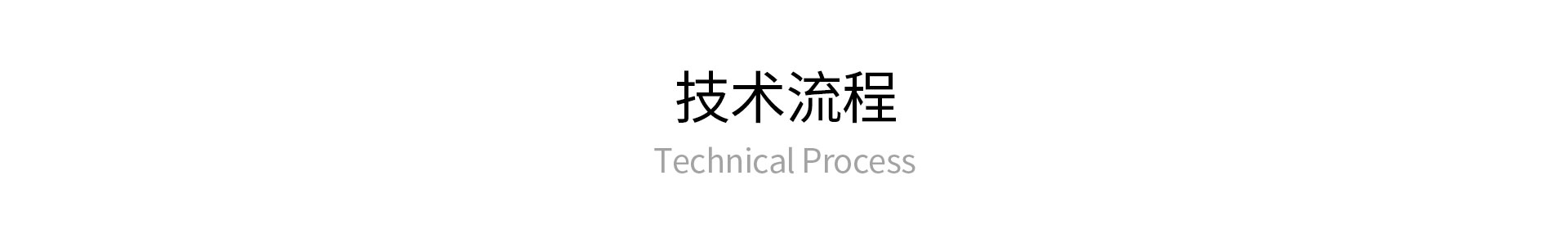 技術(shù)流程