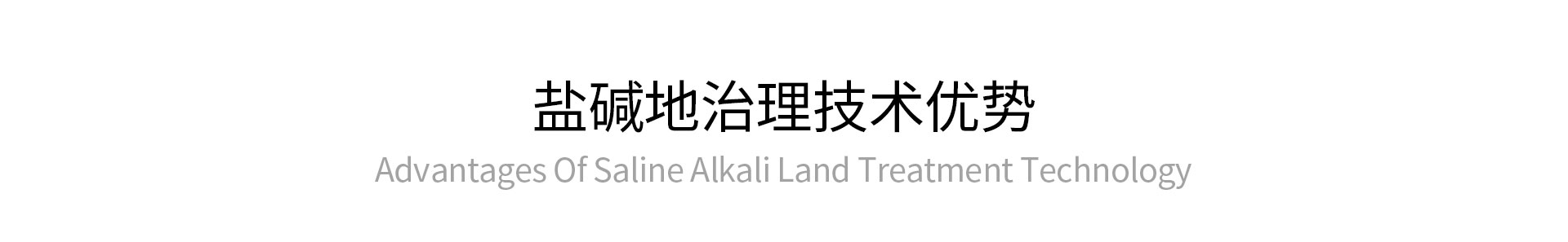 鹽堿地治理技術(shù)優(yōu)勢